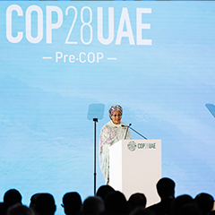 Pre-COP28 Conference